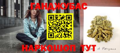 прущие грибы Лесосибирск