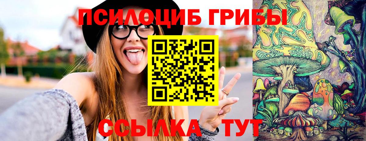 Галлюциногенные грибы Cubensis Карачаевск