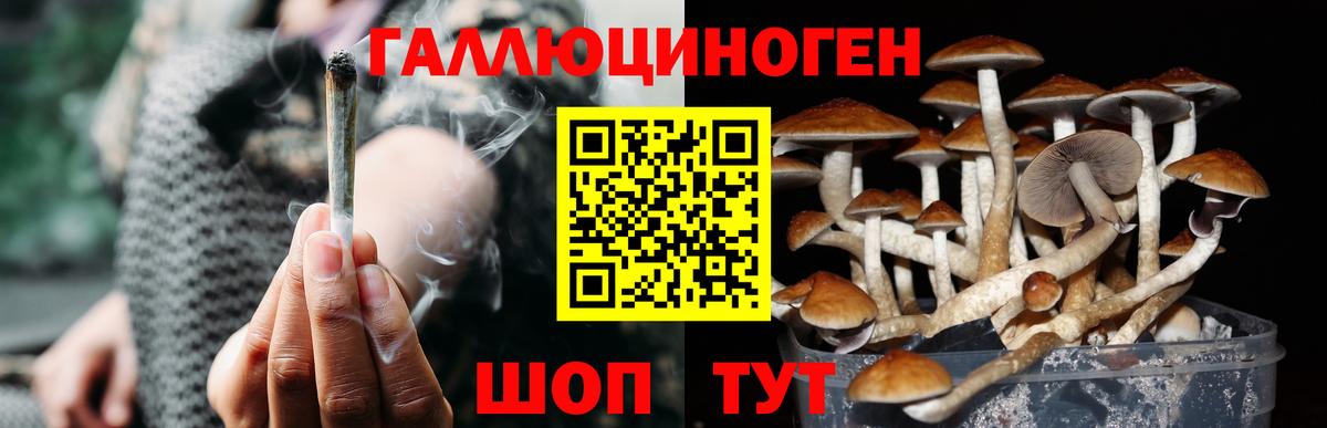 Галлюциногенные грибы MAGIC MUSHROOMS  Псилоцибиновые грибы мухоморы  Вход с VPN  Карачаевск 